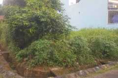 WhatsApp-Image-2025-05-14-at-09.00.57-1