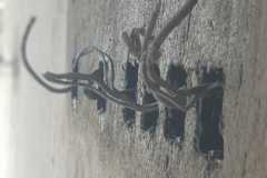 WhatsApp-Image-2025-05-14-at-09.00.59-2